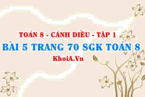 Bài 5 trang 70 SGK Toán 8 tập 1 Cánh Diều